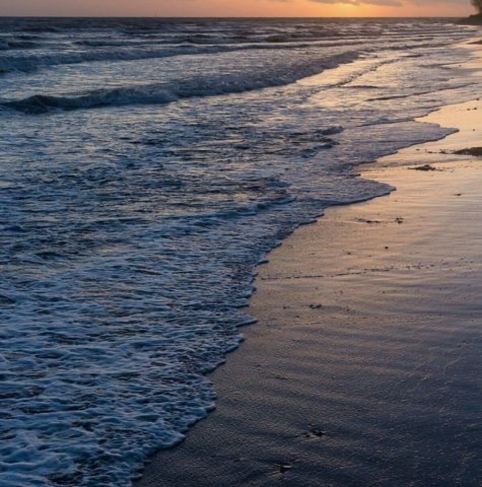 Meet your Posher, Mani